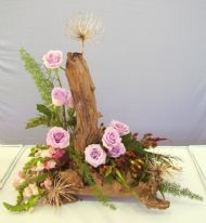 novice class 'wood this do?' (incorporating wood/driftwood)